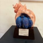 WhatsApp Image 2025-07-02 at 8.53.56 PM 2